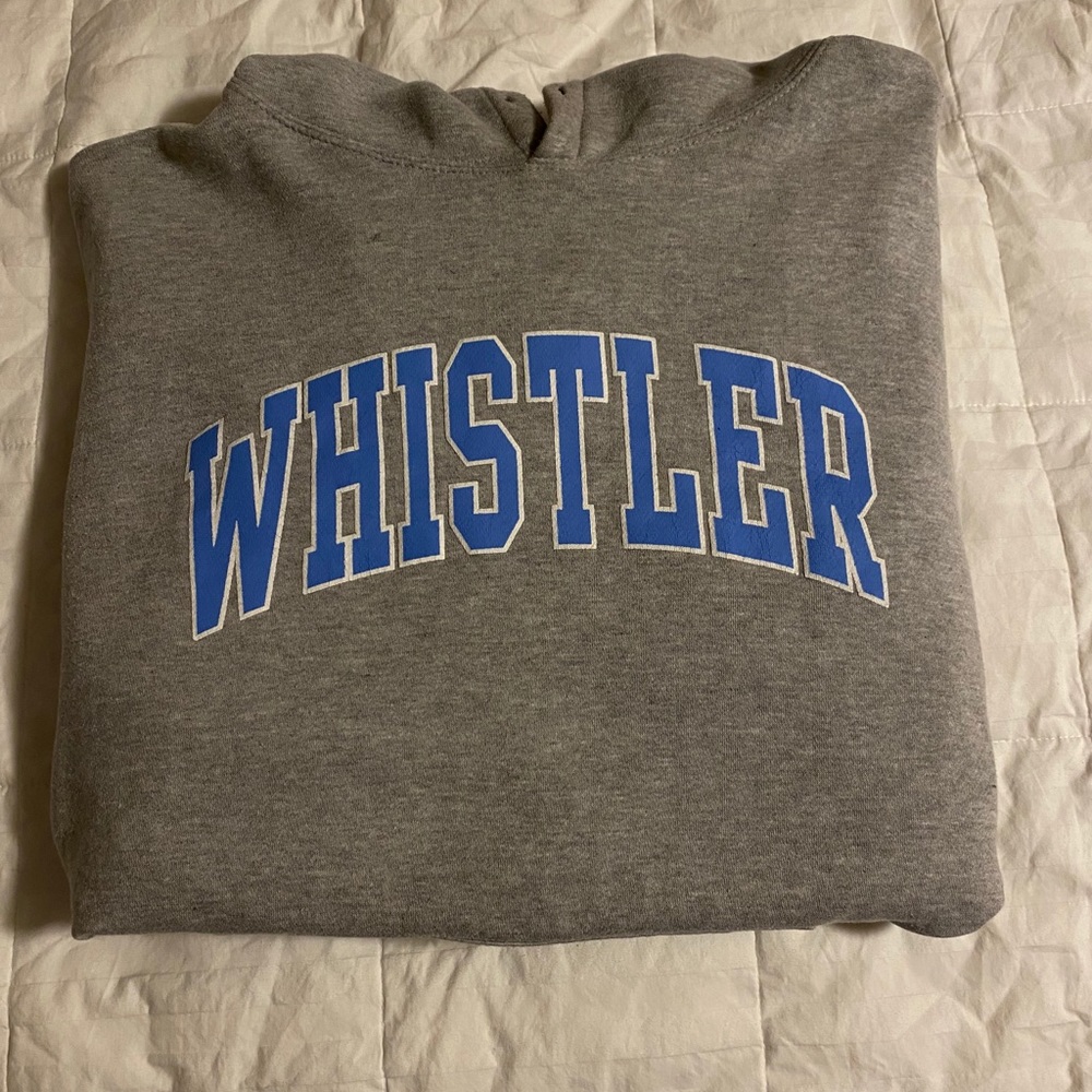 Brandy Melville hoodie
